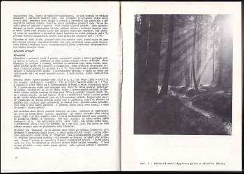 Vilém Kudrlička: Javorná -- zapomenutý kout Šumavy