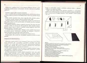 Lev Fedorovič Žegin: Jazyk malířského díla
