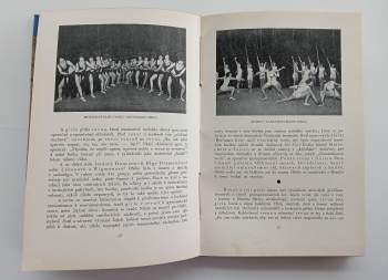 Emil František Burian: Jazz