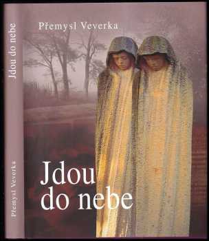 Jdou do nebe