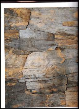 Laurent Danchin: Jean Dubuffet