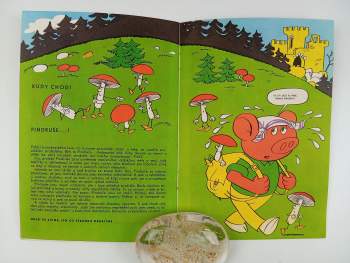 Dagmar Vránová: Jeden den v Bubákově - Čtyřlístek na strašidelném výletě - Čtyřlístek 10