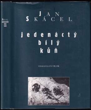 Jedenáctý bílý kůň
