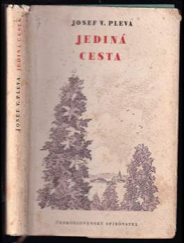 Jediná cesta