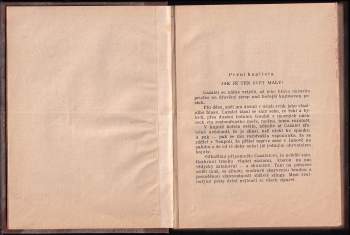 E. W Hornung: Jediná mezi tisíci