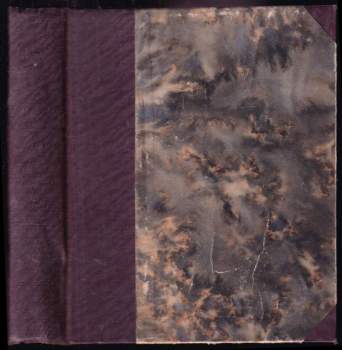 Jediná mezi tisíci