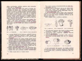 Václav Melzer: Jedlá či jedovatá?