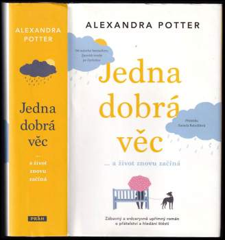 Alexandra Potter: Jedna dobrá věc