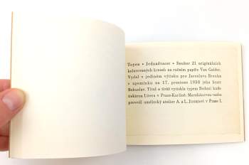 Toyen: Jednadvacet