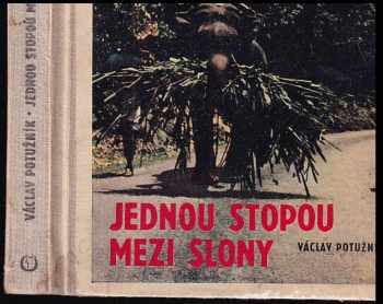 Jednou stopou mezi slony