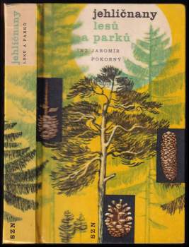 Jehličnany lesů a parků