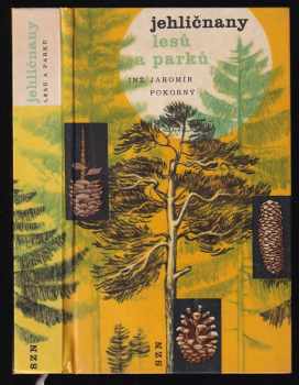 Jehličnany lesů a parků