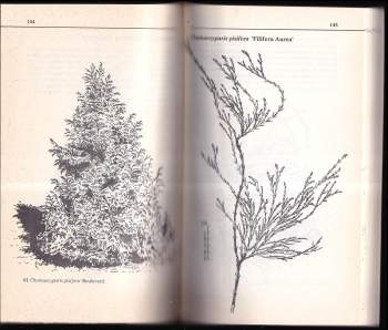 Václav Mentlík: Jehličnany v zahradě a alpínu