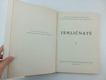 František Antonín Novák: Jehličnaté