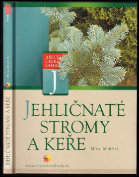 Jehličnaté stromy a keře