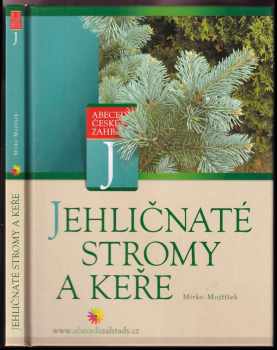 Jehličnaté stromy a keře