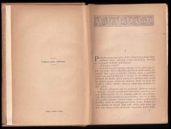 Émile Zola: Jeho excellence Eugen Rougon