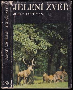 Jelení zvěř