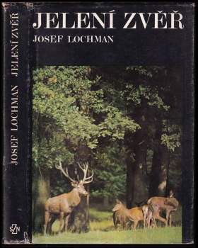 Jelení zvěř