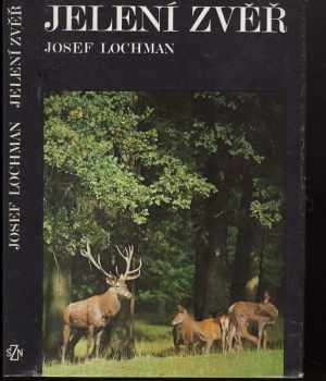Jelení zvěř