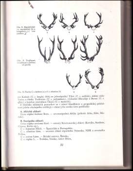 Milan Bališ: Jelenia zver