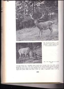 Milan Bališ: Jelenia zver