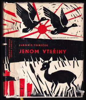 Jenom vteřiny