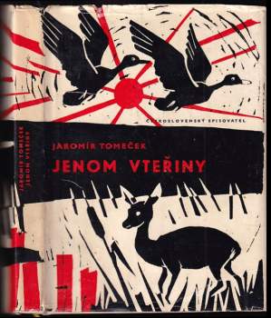Jenom vteřiny
