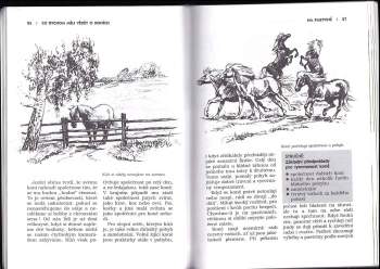 Christiane Gohl: Jezdíme pro radost