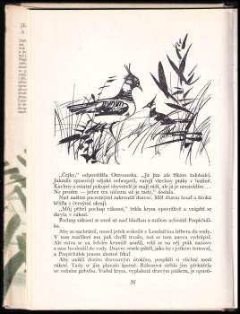 Emilijan Stanev: Ježek Pospíchálek a želva Loudalka