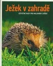 Ježek v zahradě