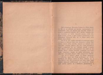 Bohumil Zahradník-Brodský: Jezero