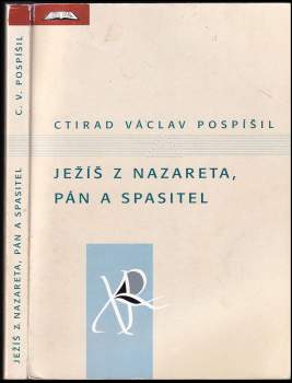 Ježíš z Nazareta, Pán a Spasitel