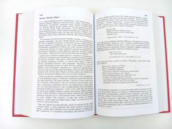 John E Davidson: Ježišovo evangelium