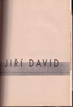 Jiří David: Jiří David