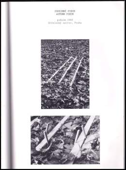 Jiří Valoch: Jiří Kovanda 1980-1994