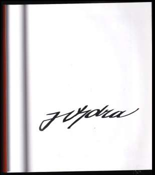 Jiří Vydra: Jiří Vydra