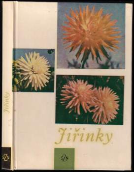 Jiřinky