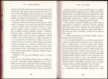 S. W Hawking: Jirka a velký třesk