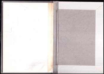 Štěpán Hurta: Jiskřička naděje