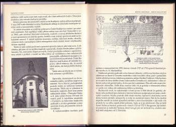 Jiřina Doležalová: Jižní Čechy