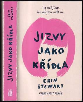 Erin Stewart: Jizvy jako křídla