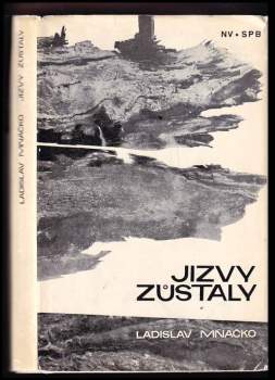 Jizvy zůstaly