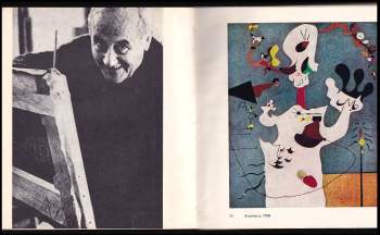 Jiří Padrta: Joan Miró