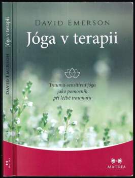 Jóga v terapii : trauma-sensitivní jóga jako pomocník při léčbě traumatu