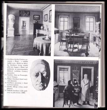 Johann Wolfgang von Goethe: Johann Wolfgang Goethe