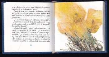 Richard Bach: Jonathan Livingston Racek