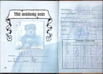 Rachel Keyes: Jorkšírský teriér