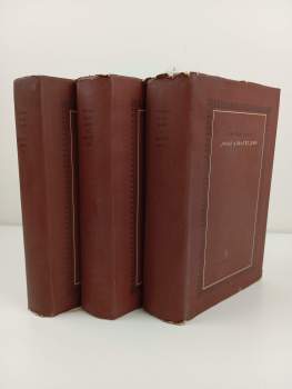 Josef a bratří jeho