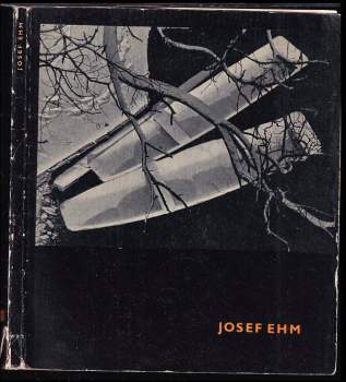 Jiří Mašín: Josef Ehm